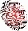 FINGER.jpg (3538 bytes)