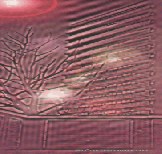 block.jpg (9396 bytes)